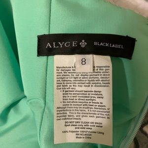 Alyce Blacklabel Prom Dress